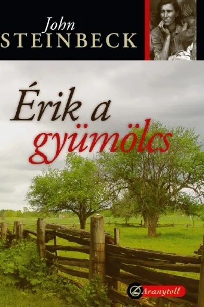 Érik a gyümölcs borítója